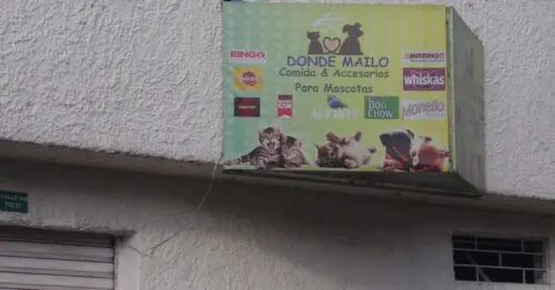 DONDE MAILO TIENDA DE MASCOTAS DONDE MAILO TIENDA DE MASCOTAS